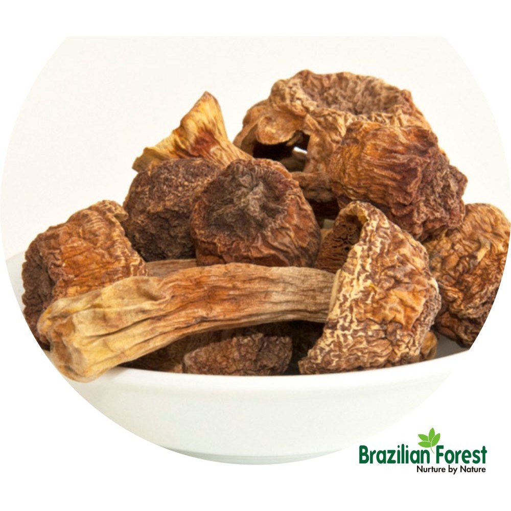 Agaricus blazei Mushroom Dried