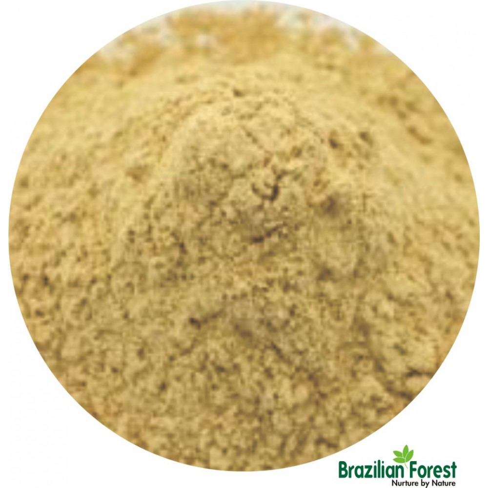 Agaricus blazei Mushroom Powder