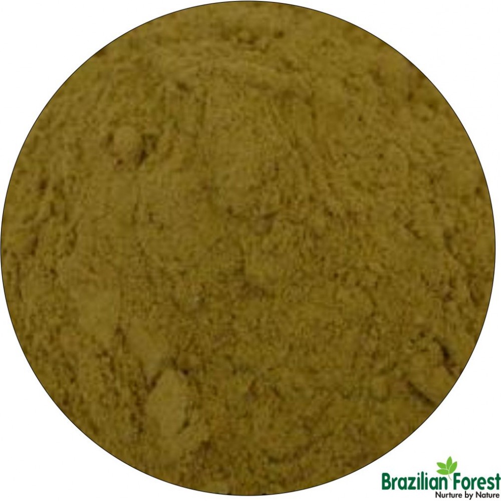 Boldo Powdered Extract
