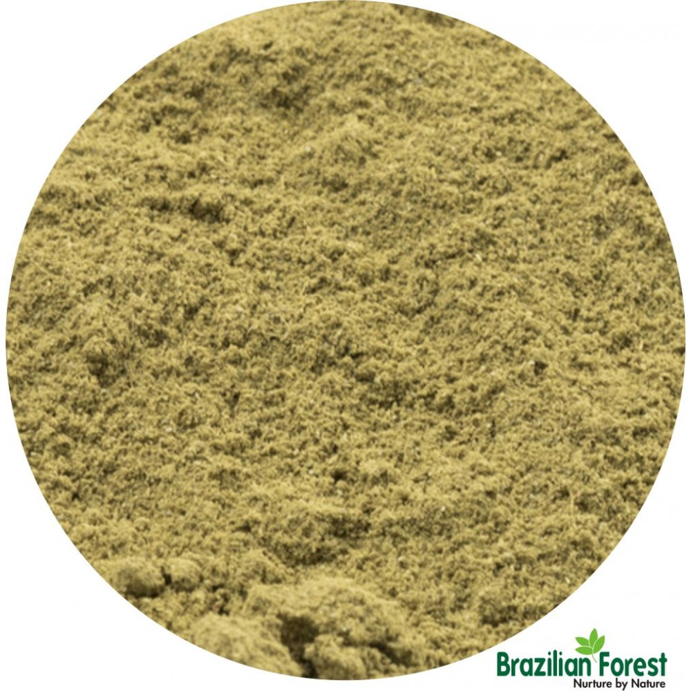 Boldo Leaves Powder