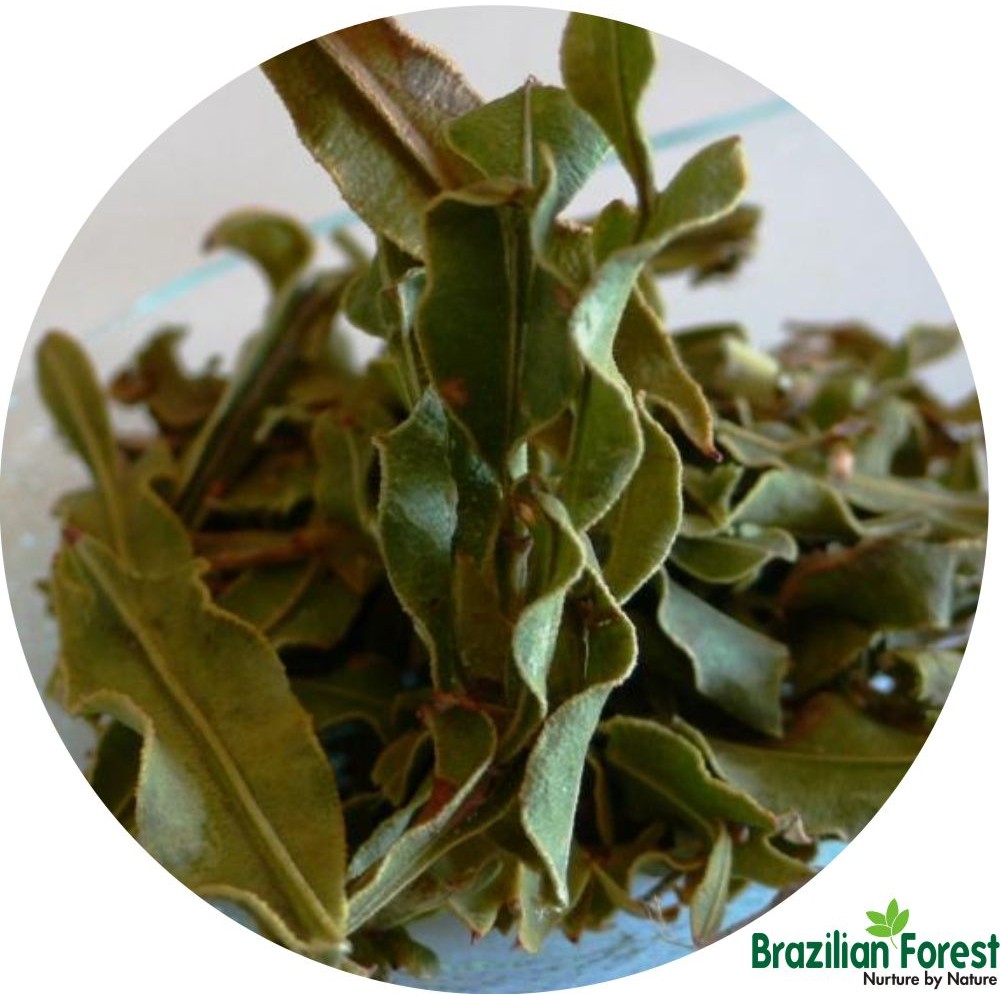 Carqueja Leaves