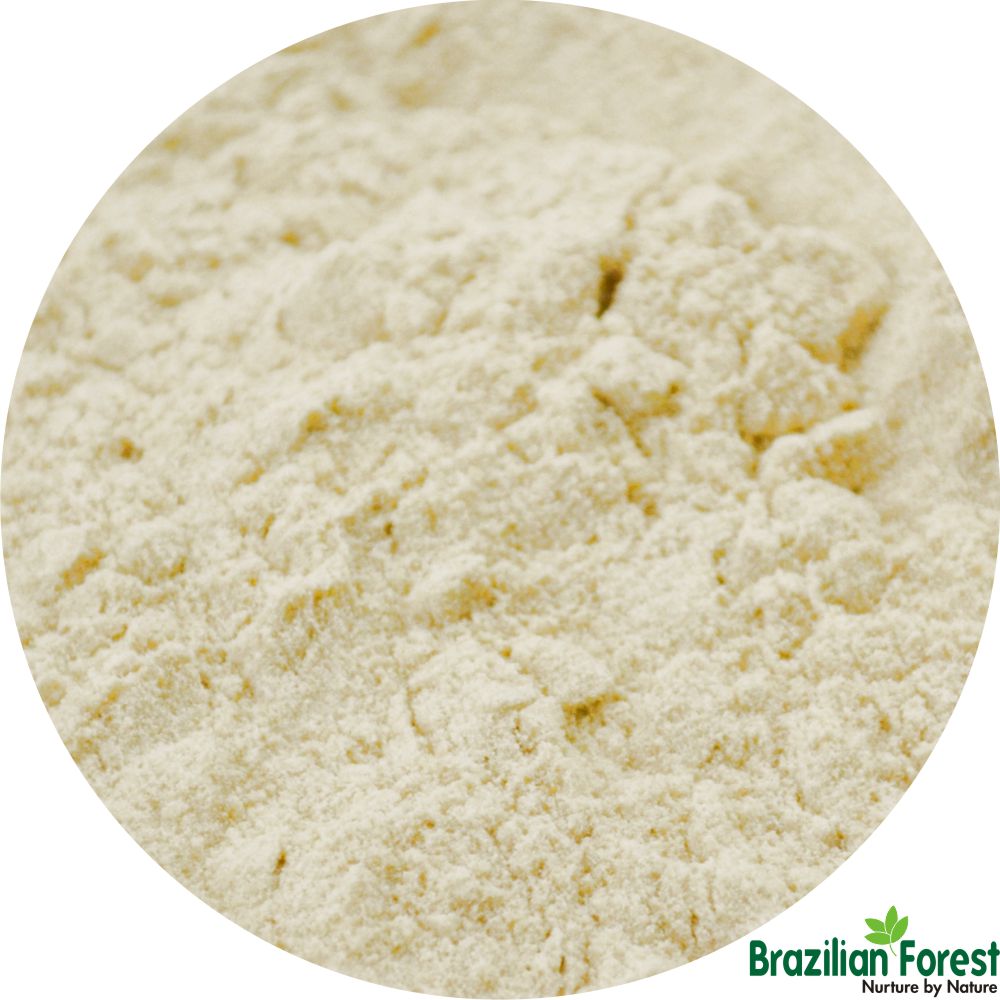 Espinheira Santa Powdered Extract