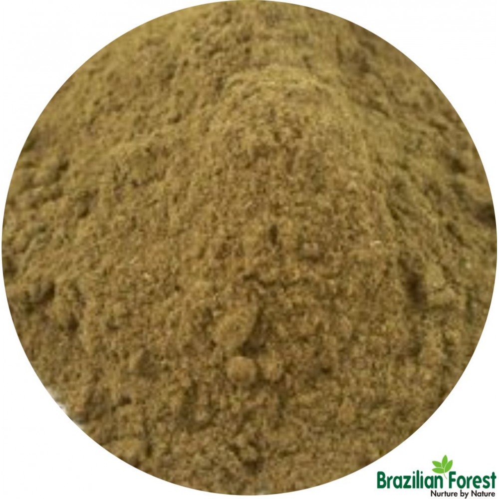Graviola Leaves Powdered Extract